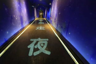 時光隧道里的光影交響 寶成鐵路文化體驗館的氛圍投影燈